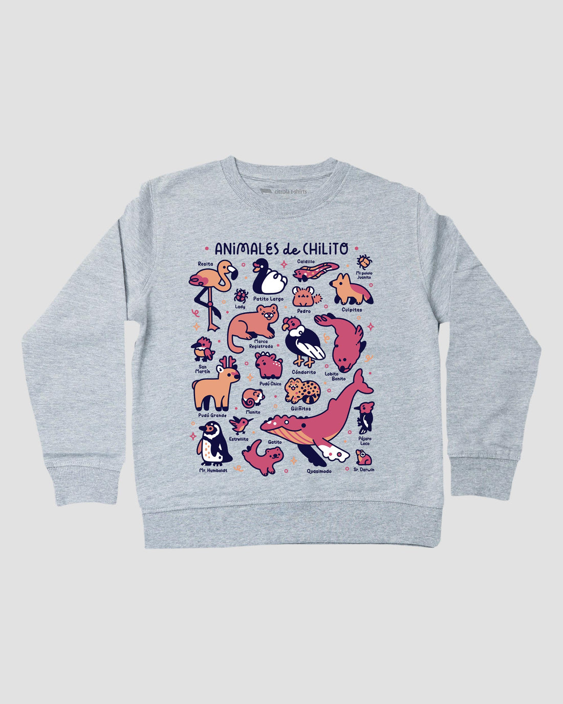 ANIMALES DE CHILITO I KIDS CREW
