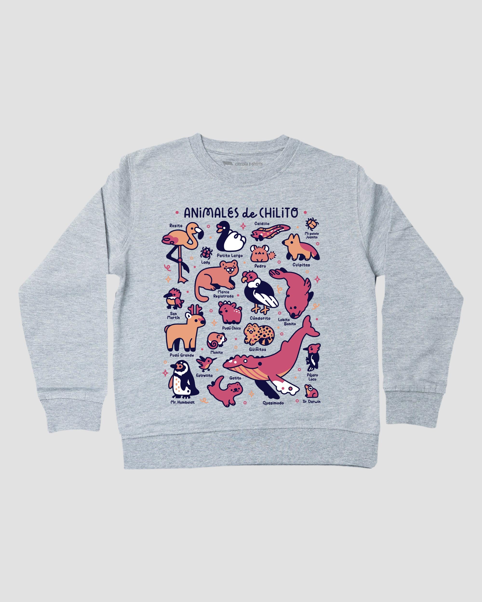 ANIMALES DE CHILITO I KIDS CREW