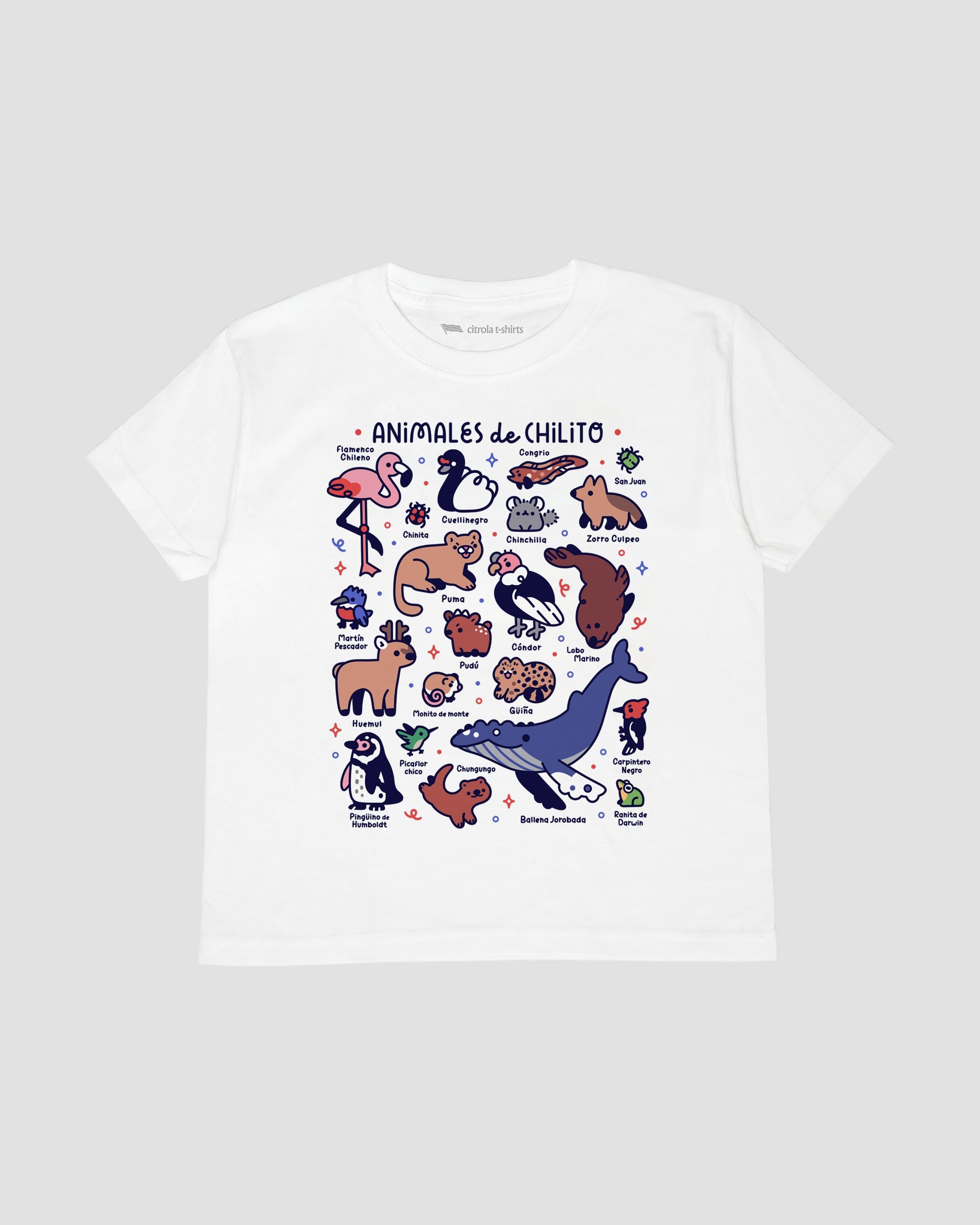 ANIMALES DE CHILITO II KIDS TEE