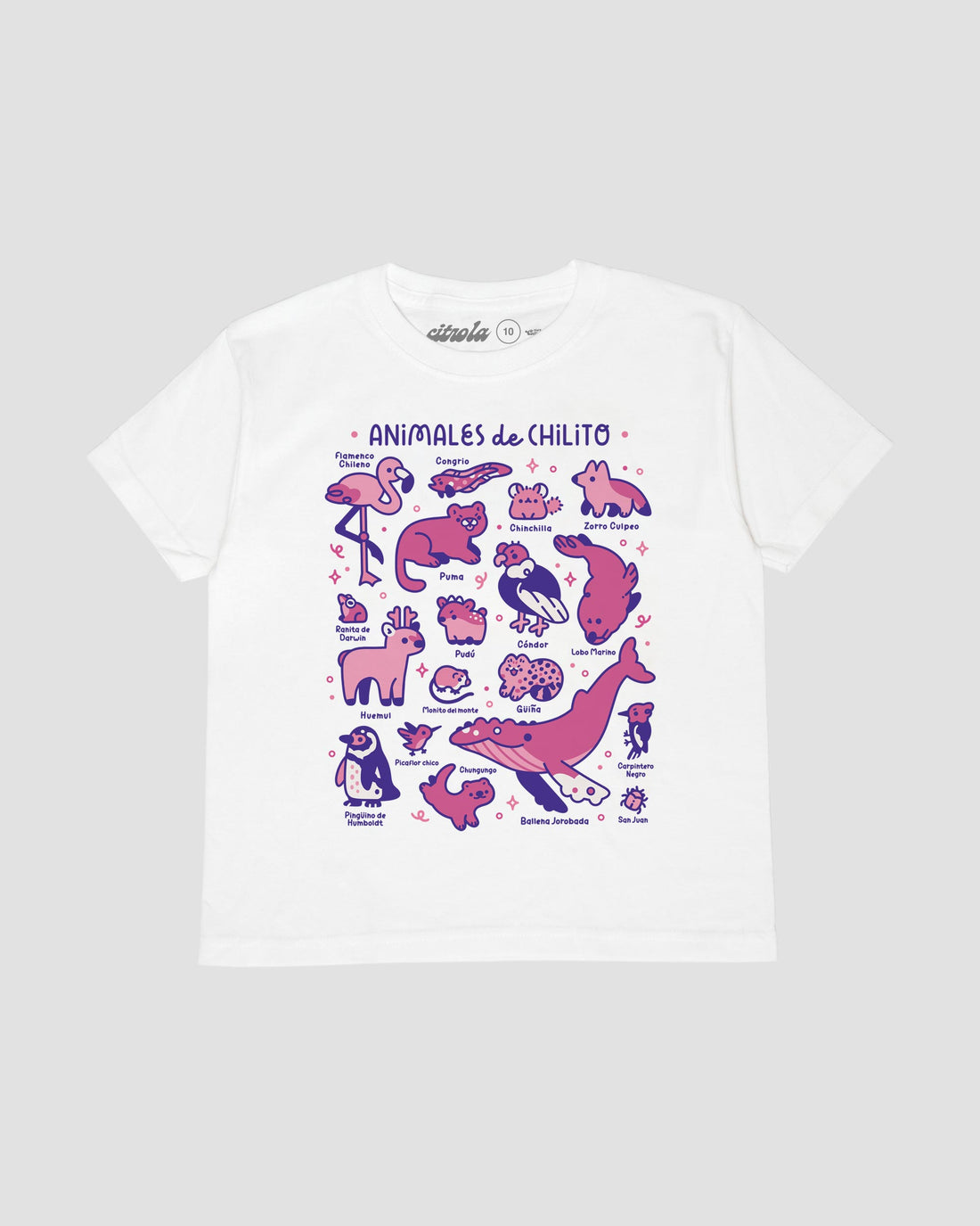 ANIMALES DE CHILITO II KIDS TEE