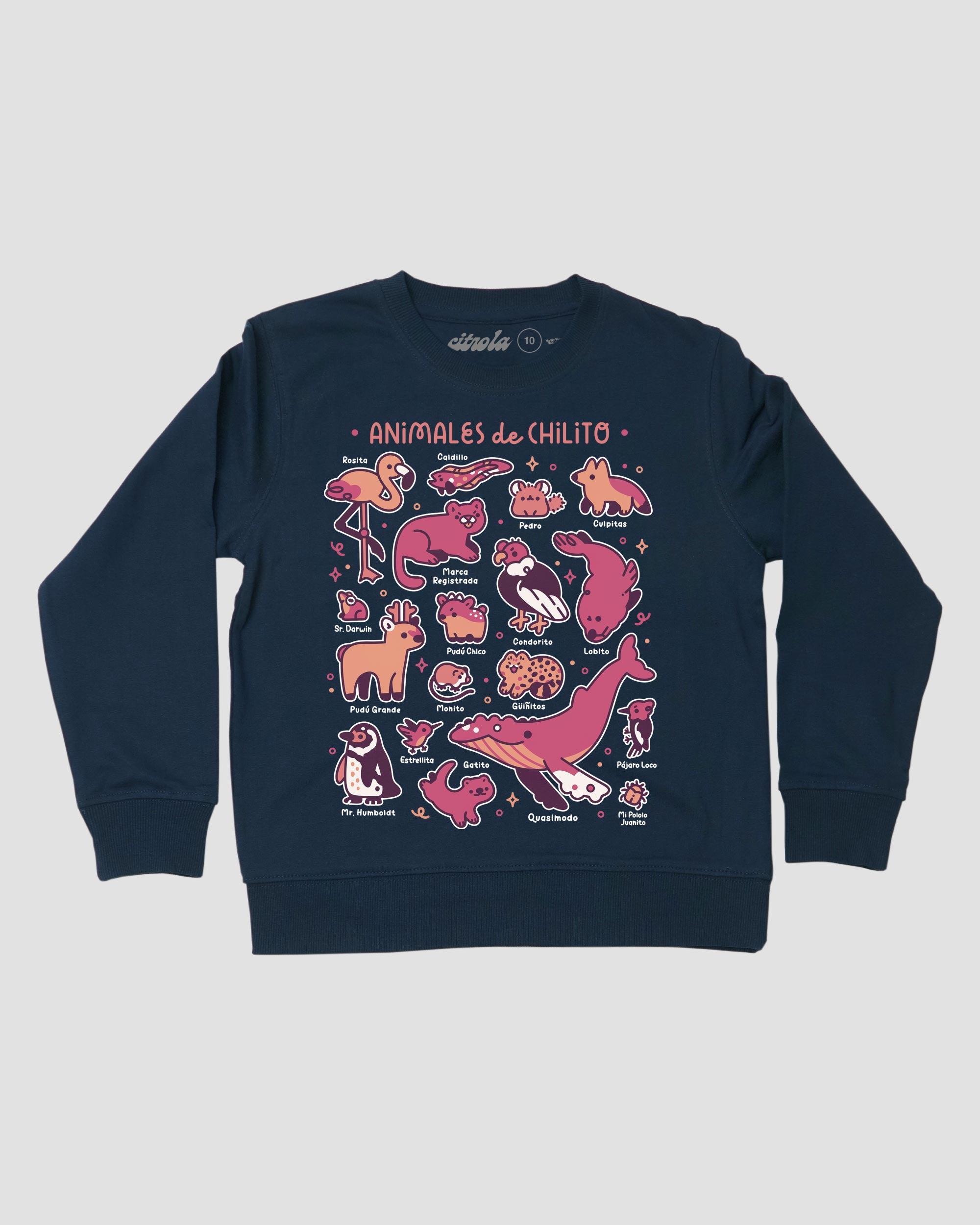 ANIMALES DE CHILITO I KIDS CREW