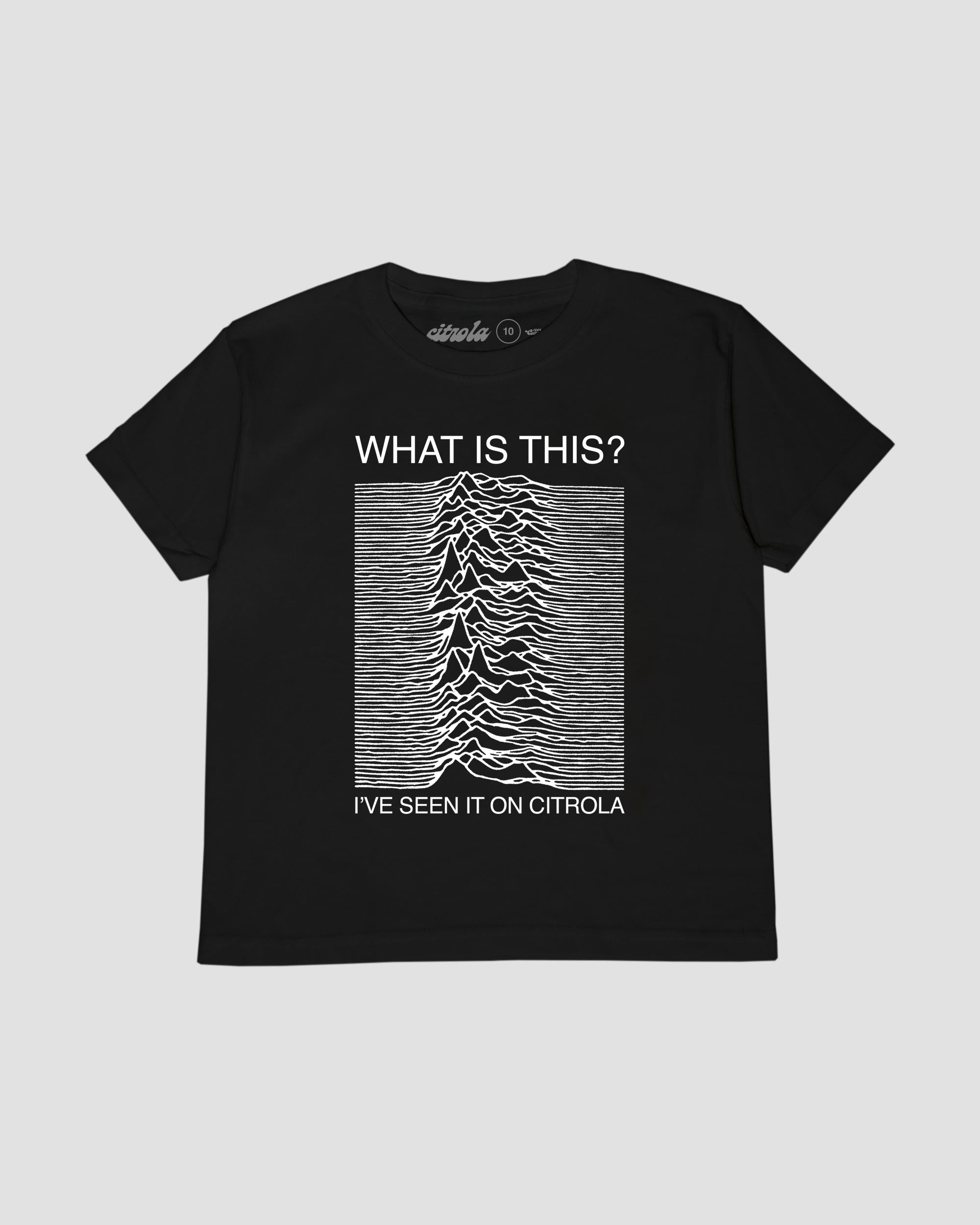 FAKE DIVISION 4 KIDS TEE